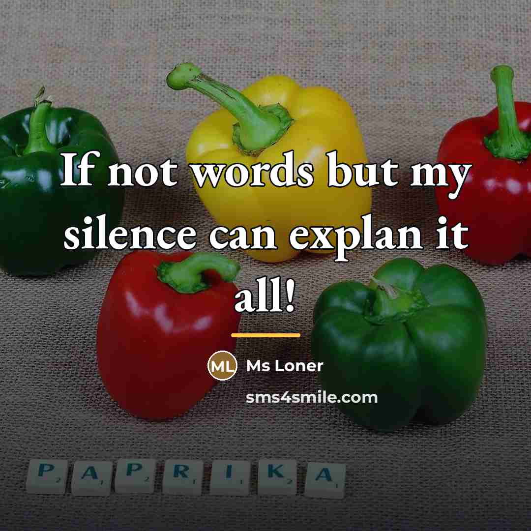 “If not words but my silence can explan it all!…” quote by Ms Loner