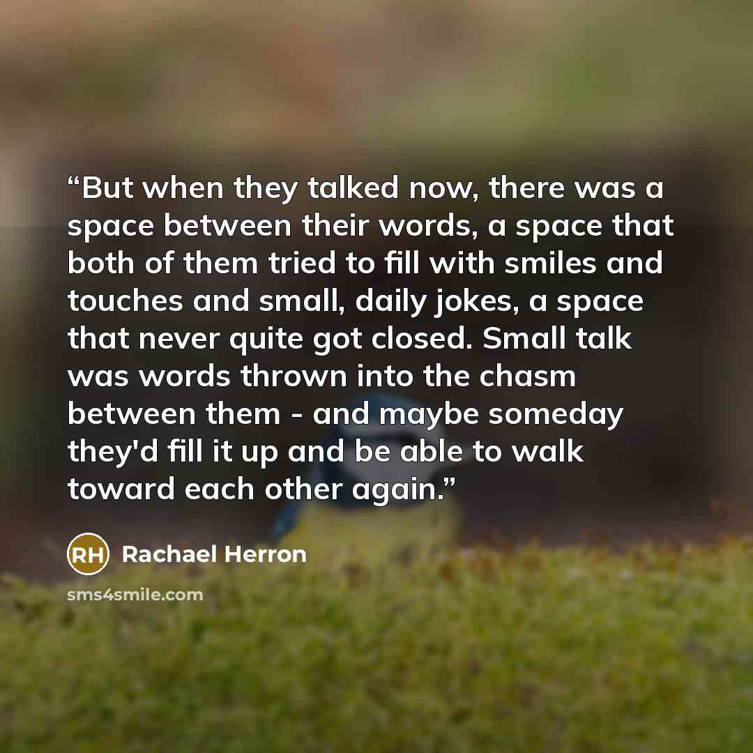 “But when they talked now, there was a space between their words, a space that both of them tried to fill with smiles and touches and small, daily jokes, a space that never quite got closed. Small talk was words thrown into the chasm between them - and maybe someday they'd fill it up and be able to…” quote by Rachael Herron