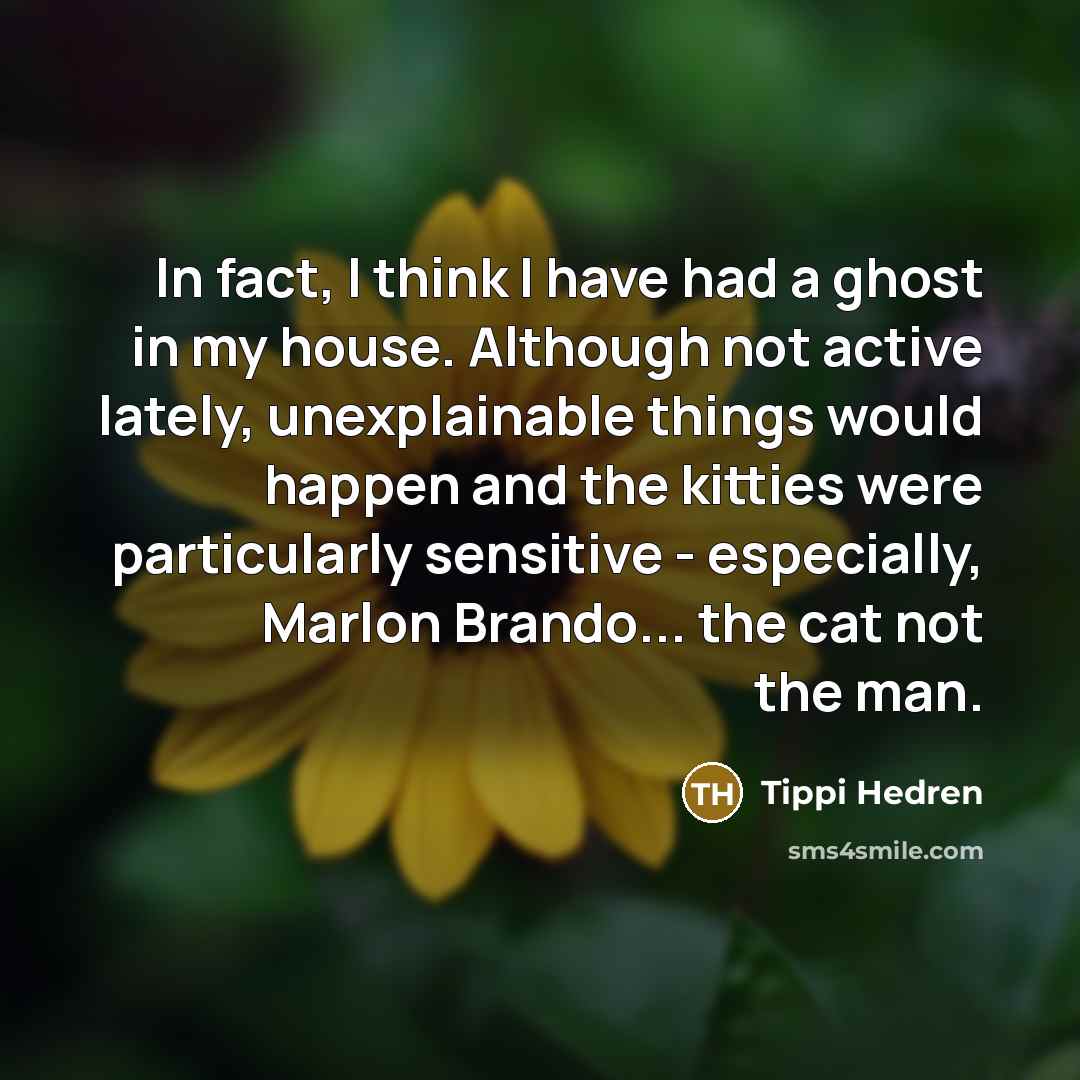 “In fact, I think I have had a ghost in…” quote by Tippi Hedren