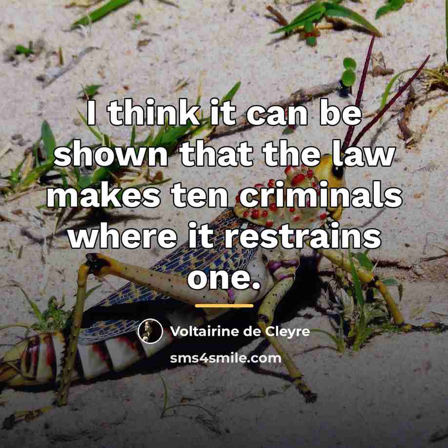 “I think it can be shown that the law makes…” quote by Voltairine de Cleyre