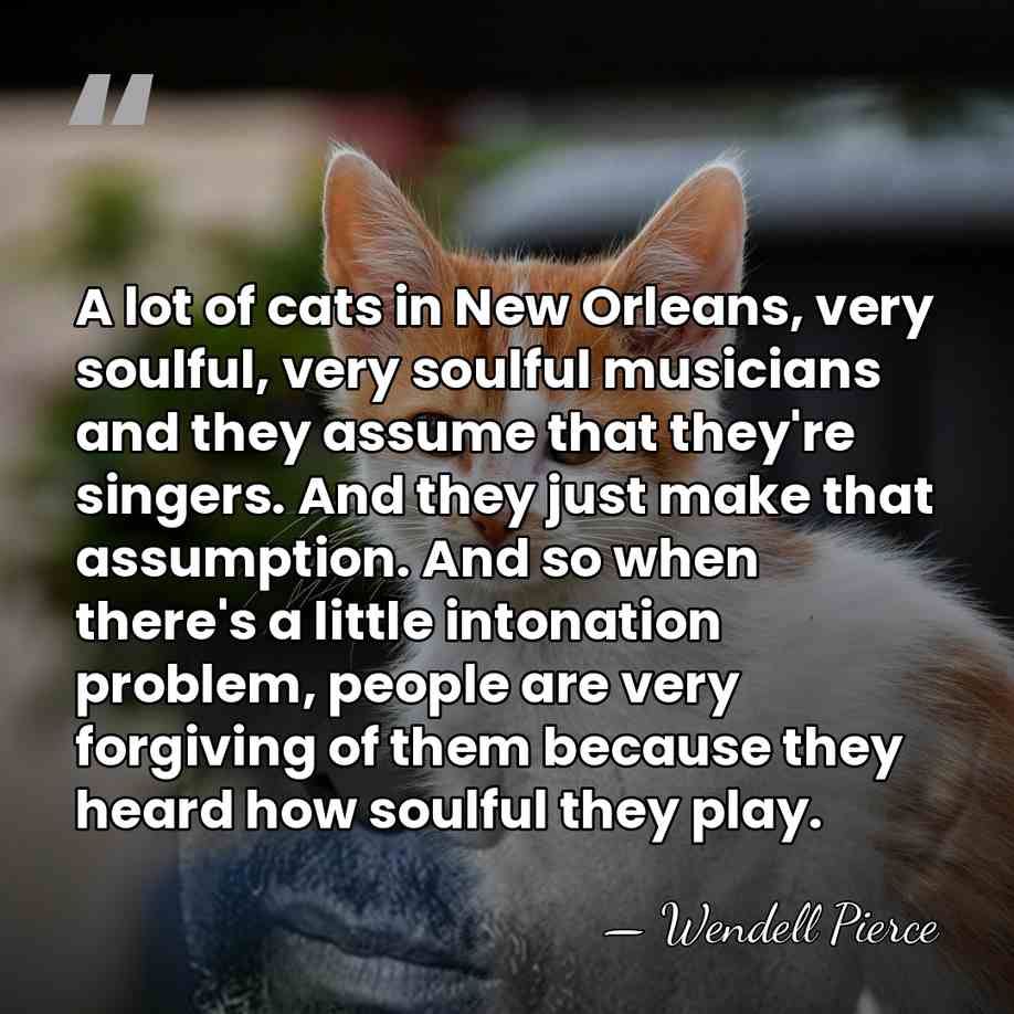 A lot of cats in New Orleans, very soulful, very soulful musicians&hellip; - Wendell Pierce