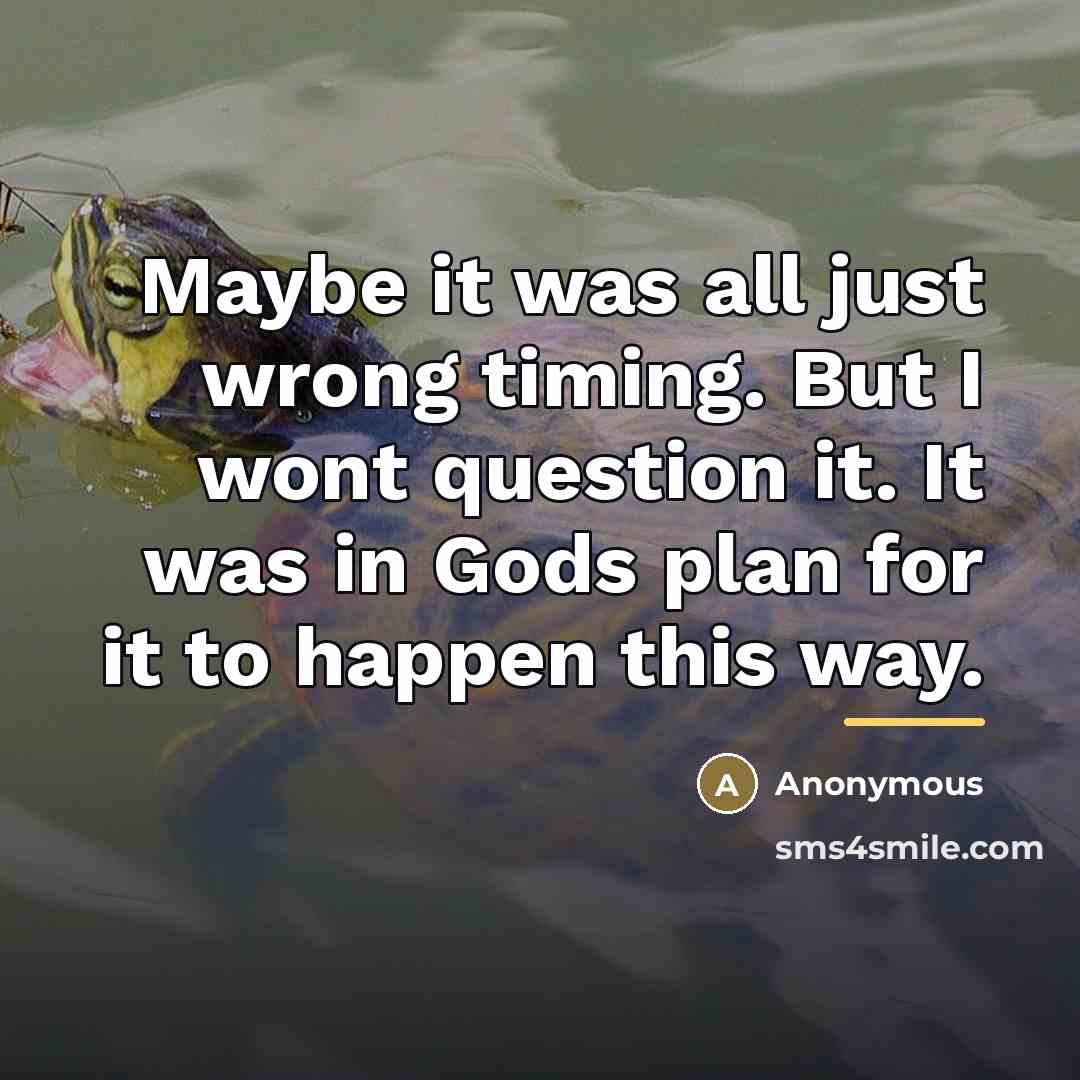 “Maybe it was all just wrong timing. But I wont…” quote by Anonymous