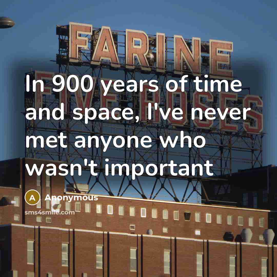 “In 900 years of time and space, I've never met…” quote by Anonymous