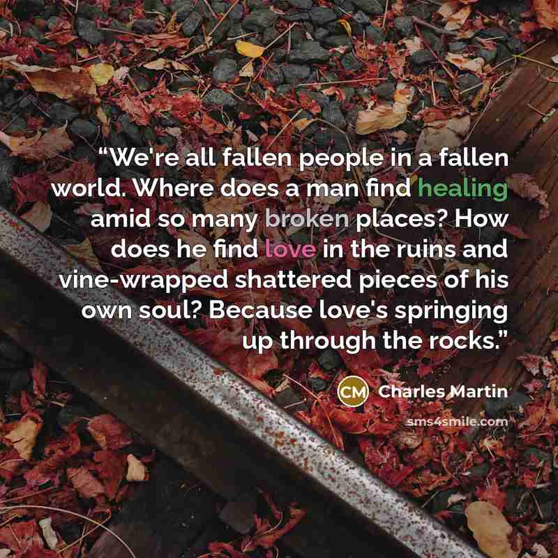 “We're all fallen people in a fallen world. Where does a man find healing amid so many broken places? How does he find love in the ruins and vine-wrapped shattered pieces of his own soul? Because love's springing up through the rocks.” quote by Charles Martin