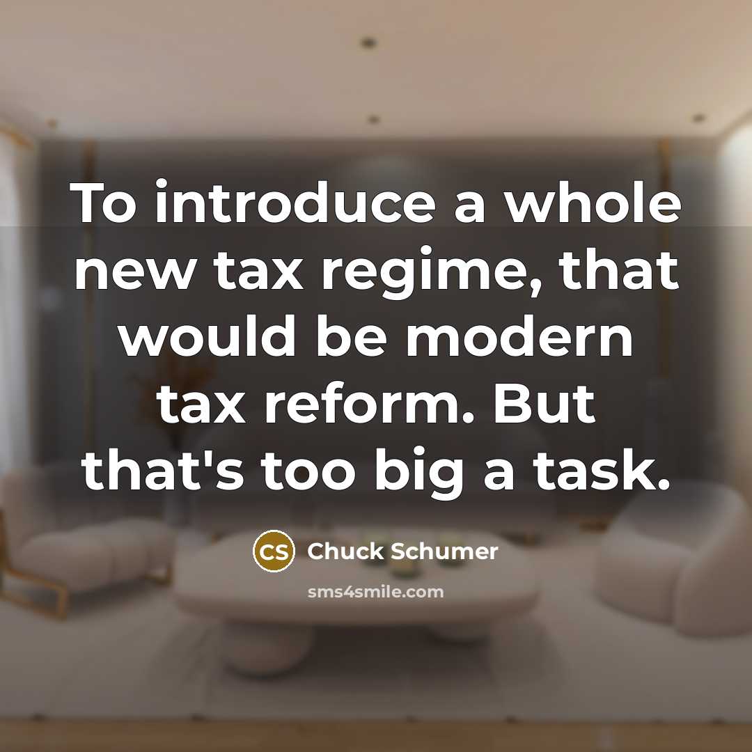 “To introduce a whole new tax regime, that would be…” quote by Chuck Schumer