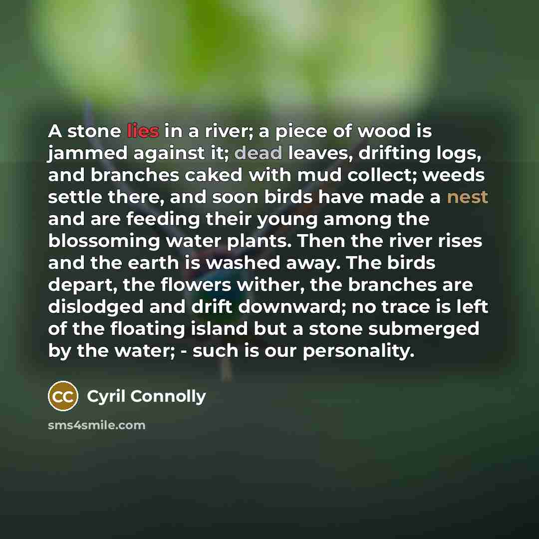 “A stone lies in a river; a piece of wood…” quote by Cyril Connolly