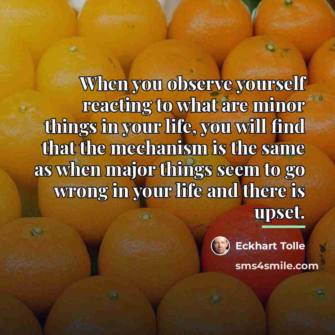 “When you observe yourself reacting to what are minor things…” quote by Eckhart Tolle