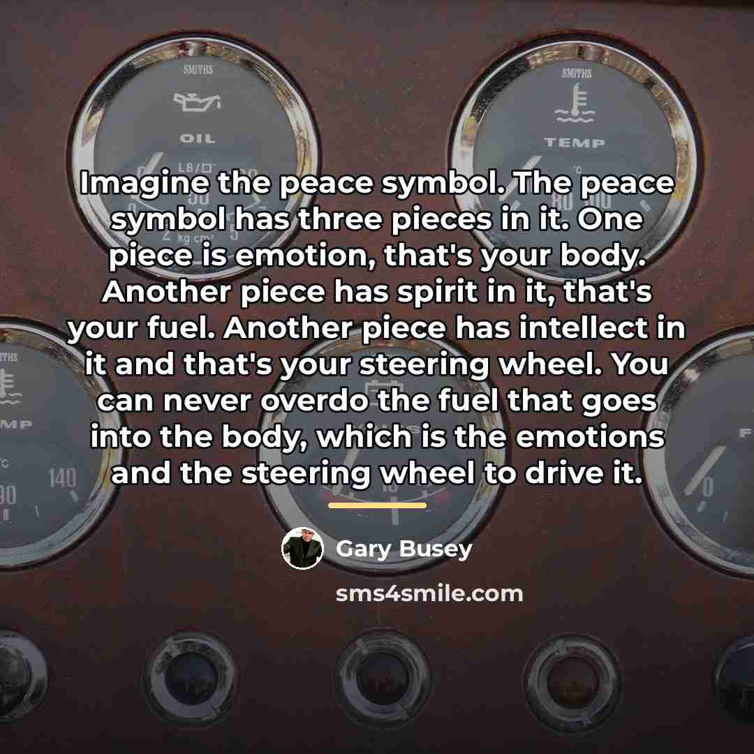 “Imagine the peace symbol. The peace symbol has three pieces…” quote by Gary Busey