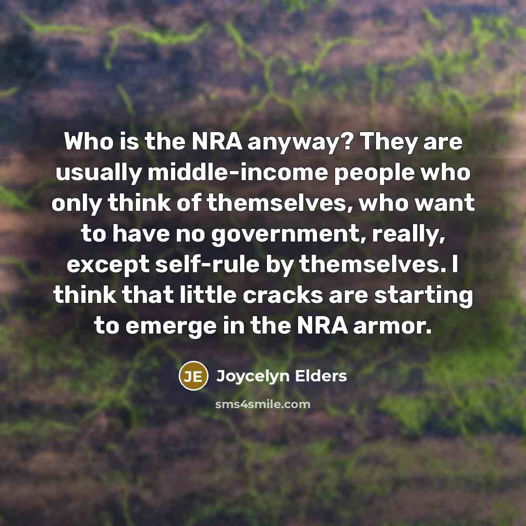 “Who is the NRA anyway? They are usually middle-income people who only think of themselves, who want to have no government, really, except self-rule by themselves. I think that little cracks are starting to emerge in the NRA armor.” quote by Joycelyn Elders
