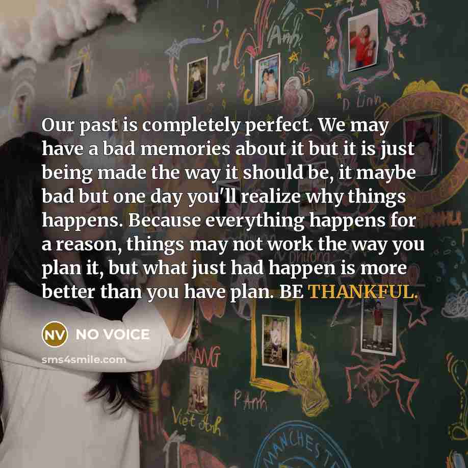 “Our past is completely perfect. We may have a bad…” quote by NO VOICE