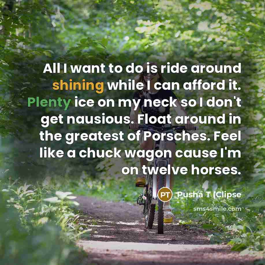 “All I want to do is ride around shining while…” quote by Pusha T (Clipse
