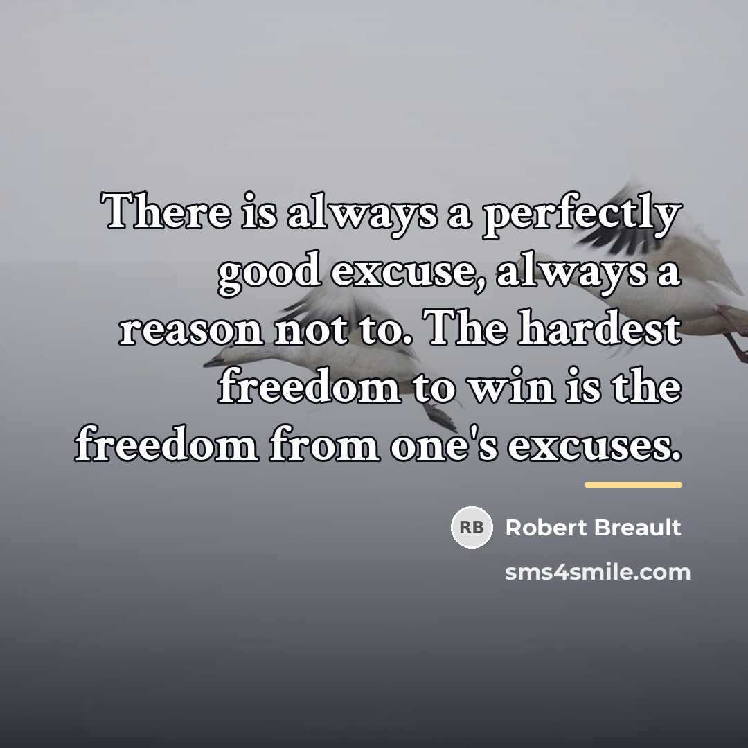 “There is always a perfectly good excuse, always a reason…” quote by Robert Breault