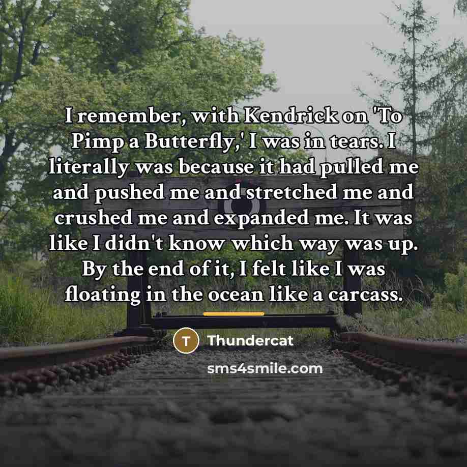 “I remember, with Kendrick on 'To Pimp a Butterfly,' I…” quote by Thundercat
