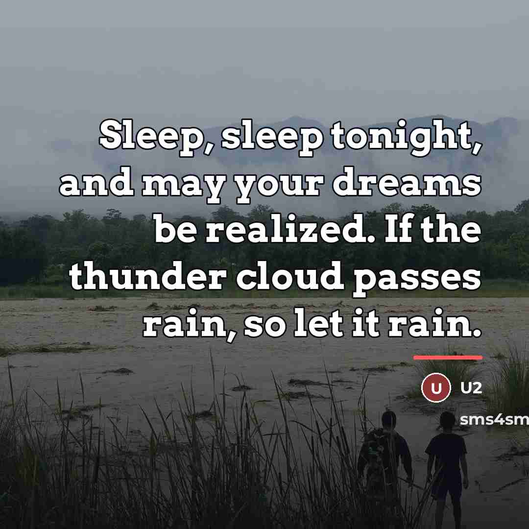 “Sleep, sleep tonight, and may your dreams be realized. If…” quote by U2