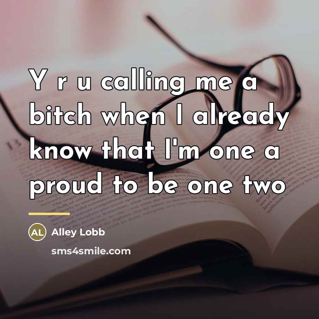 “Y r u calling me a bitch when I already…” quote by Alley Lobb