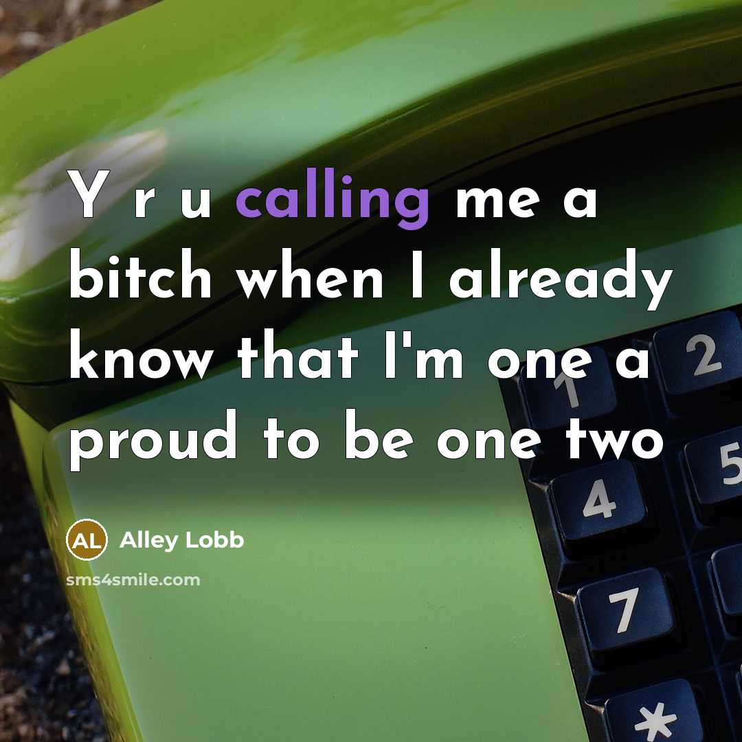 “Y r u calling me a bitch when I already know that I'm one a proud to be one two” quote by Alley Lobb