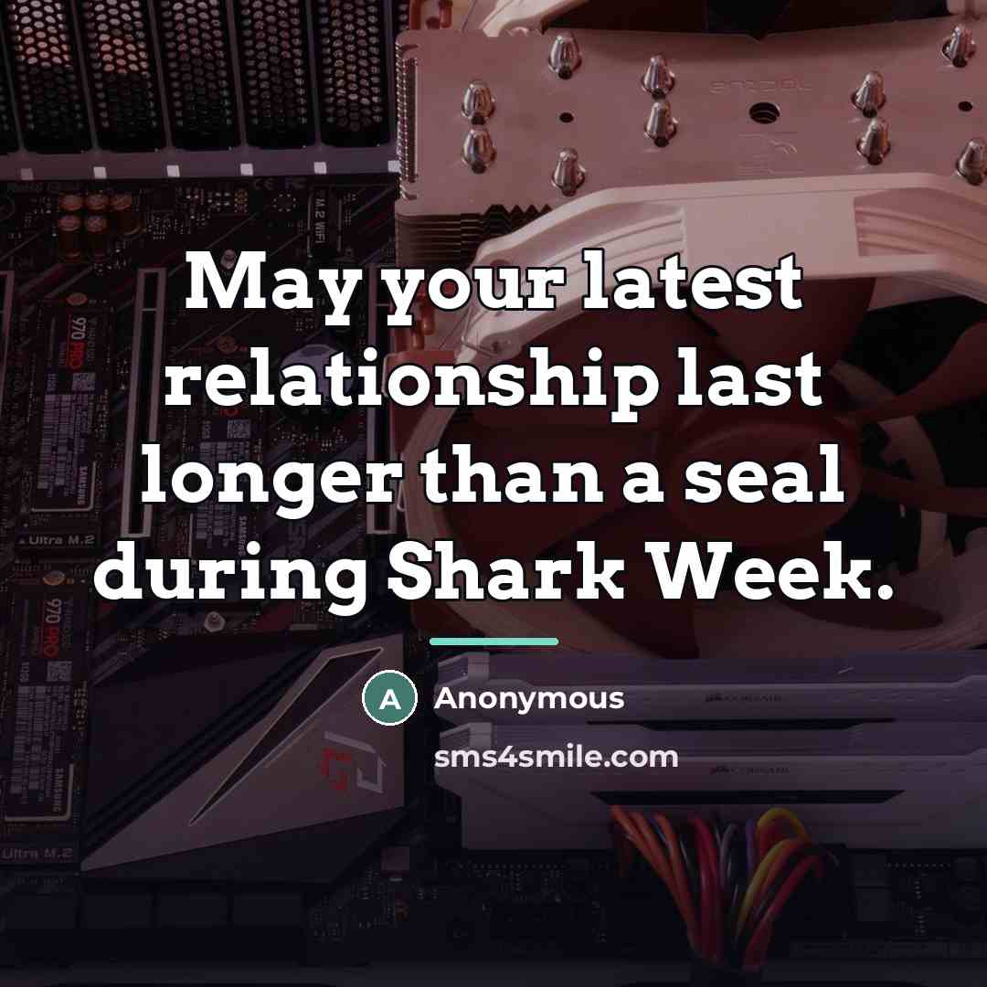 “May your latest relationship last longer than a seal during…” quote by Anonymous
