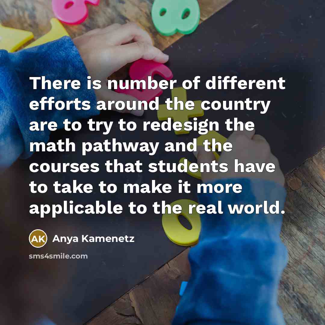 “There is number of different efforts around the country are…” quote by Anya Kamenetz