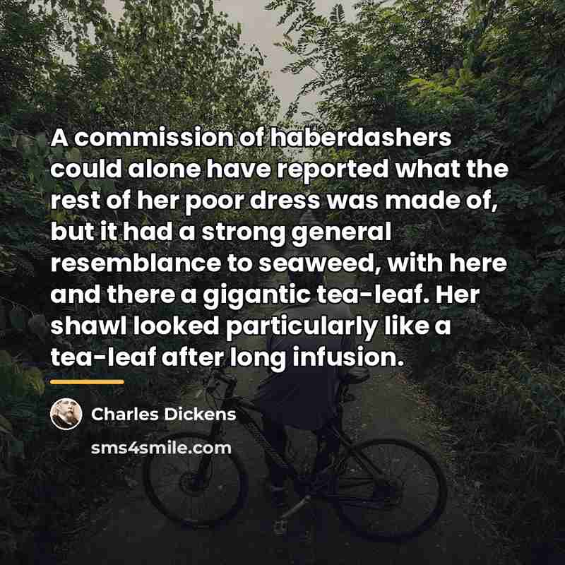 “A commission of haberdashers could alone have reported what the…” quote by Charles Dickens