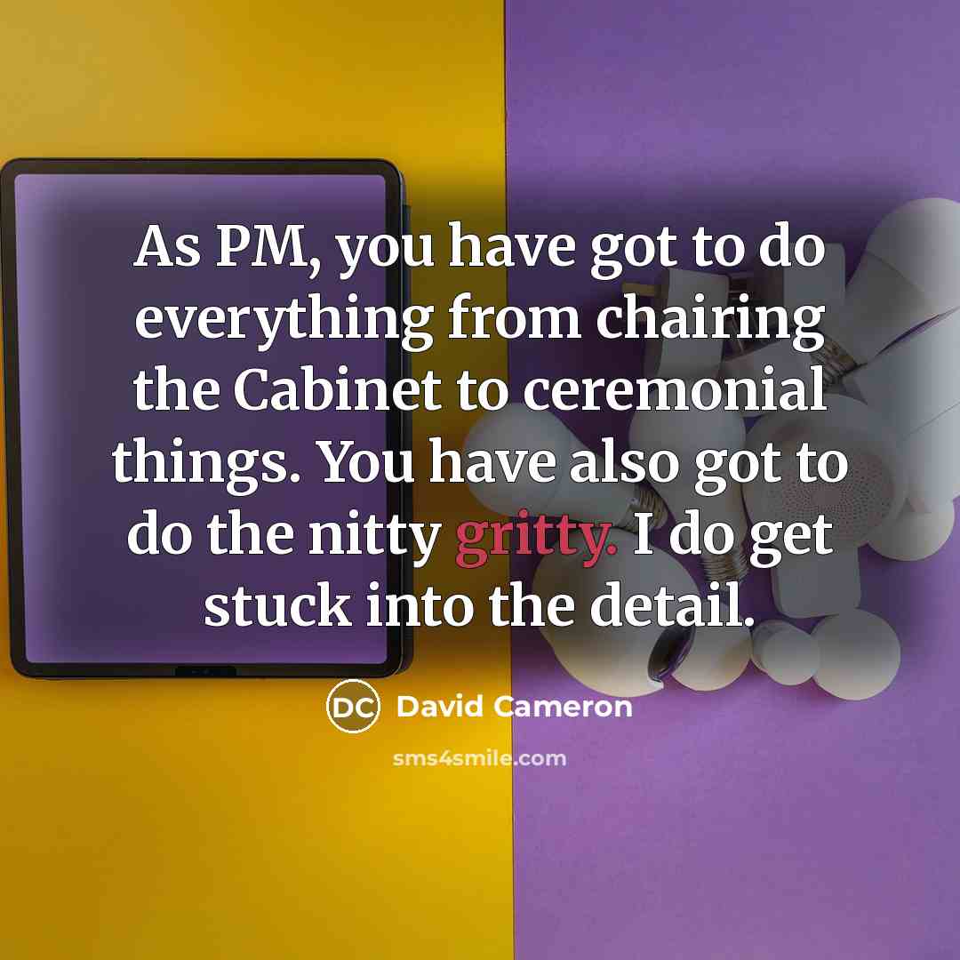 “As PM, you have got to do everything from chairing…” quote by David Cameron