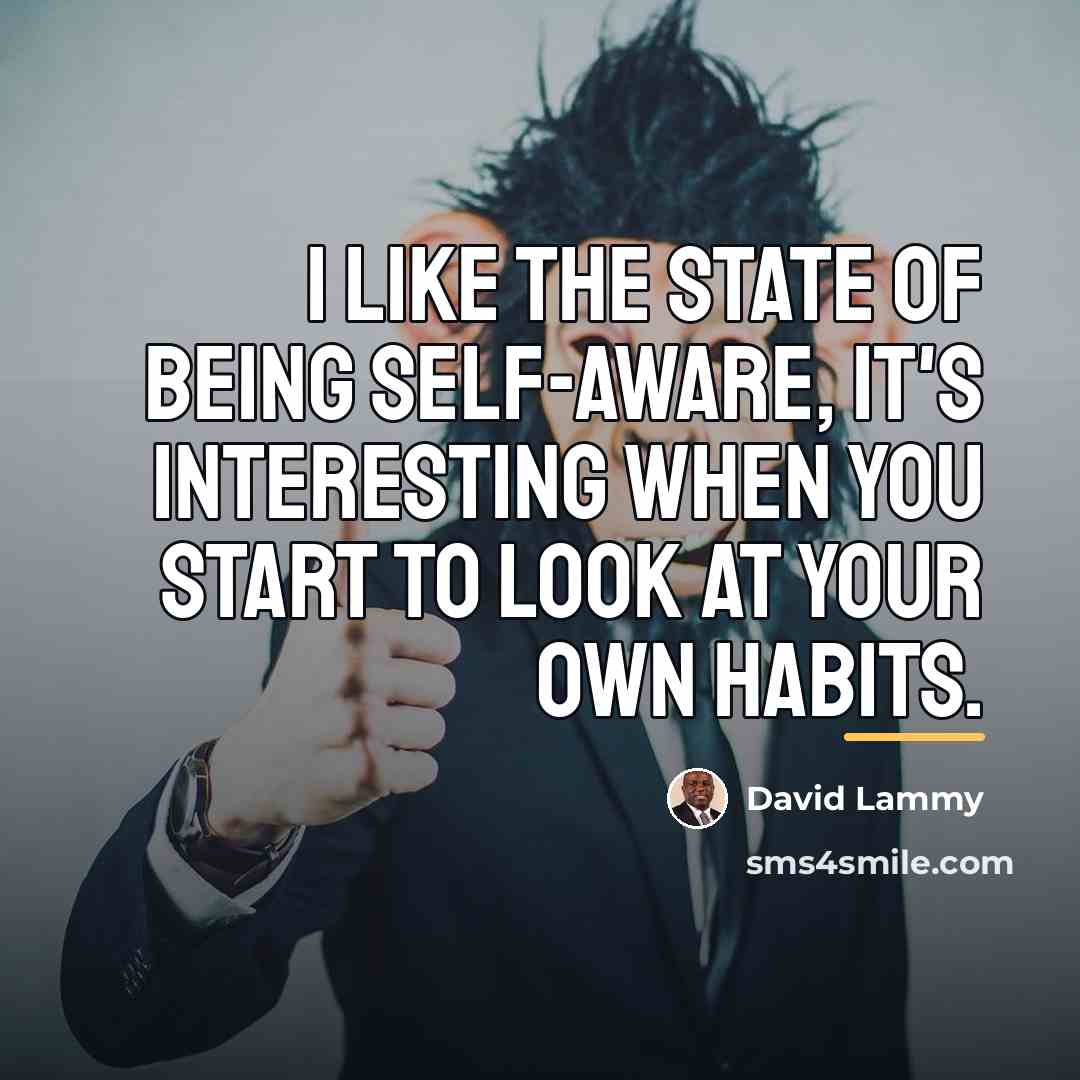 “I like the state of being self-aware, it's interesting when…” quote by David Lammy
