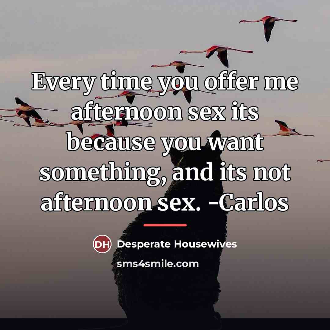 “Every time you offer me afternoon sex its because you…” quote by Desperate Housewives