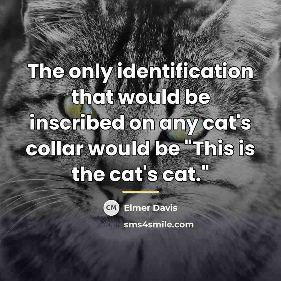 “The only identification that would be inscribed on any cat's…” quote by Elmer Davis