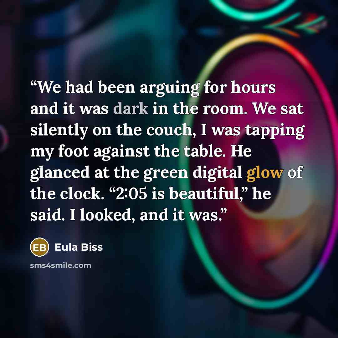 “We had been arguing for hours and it was dark in the room. We sat silently on the couch, I was tapping my foot against the table. He glanced at the green digital glow of the clock. “2:05 is beautiful,” he said. I looked, and it was.” quote by Eula Biss