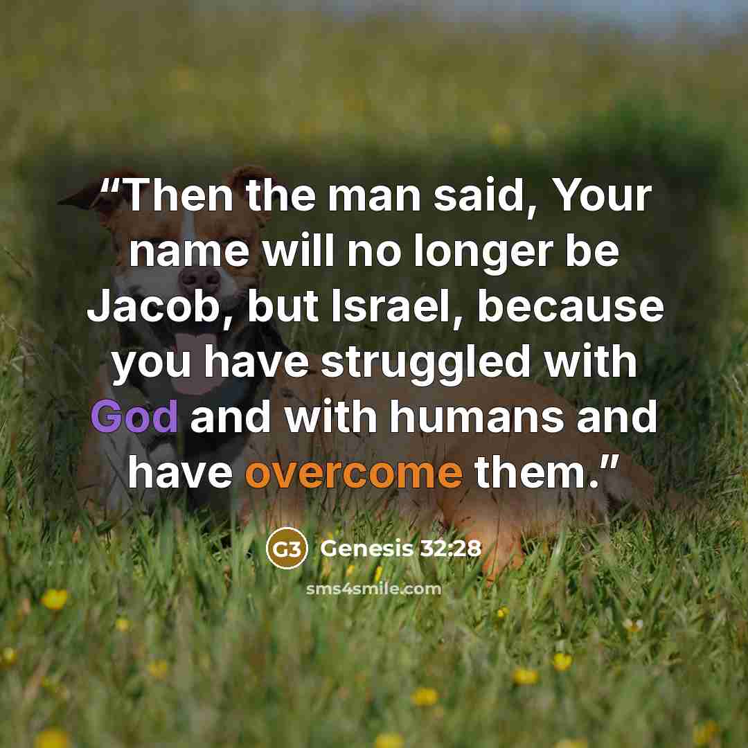“Then the man said, Your name will no longer be Jacob, but Israel, because you have struggled with God and with humans and have overcome them.” quote by Genesis 32:28