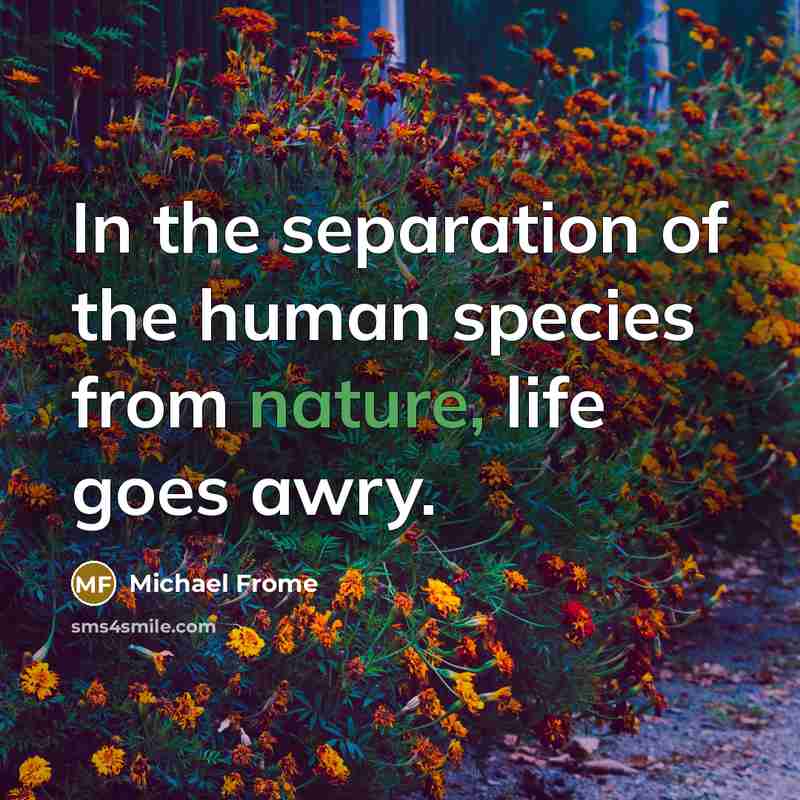 “In the separation of the human species from nature, life…” quote by Michael Frome