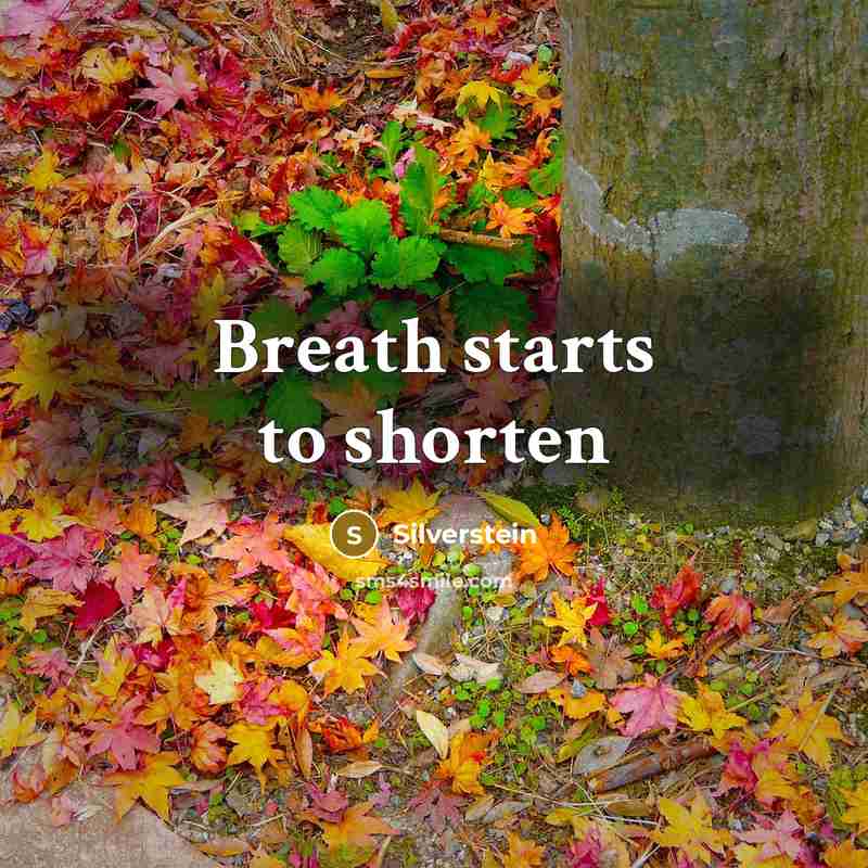“Breath starts to shorten…” quote by Silverstein
