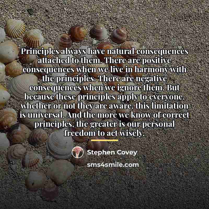 “Principles always have natural consequences attached to them. There are…” quote by Stephen Covey