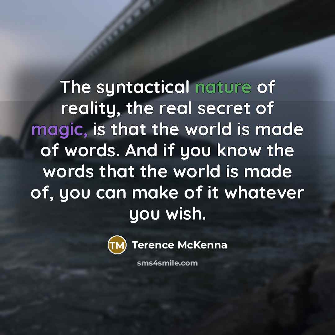 “The syntactical nature of reality, the real secret of magic,…” quote by Terence McKenna