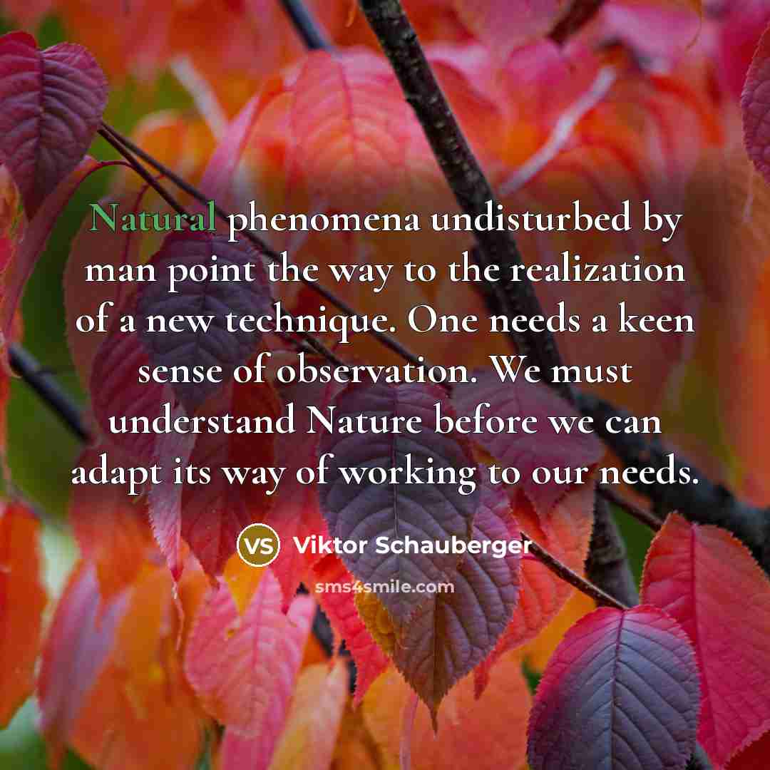 “Natural phenomena undisturbed by man point the way to the…” quote by Viktor Schauberger