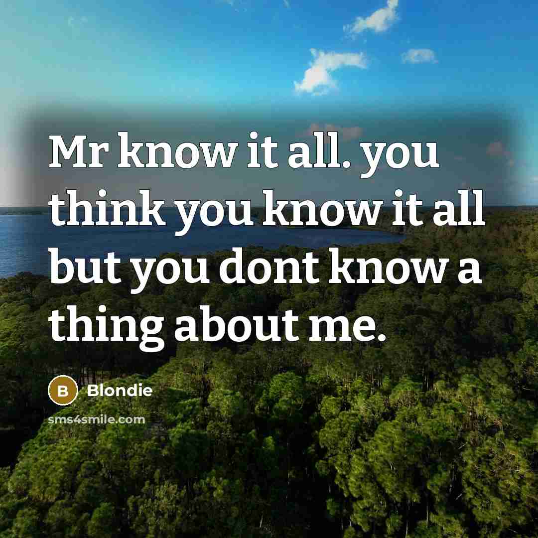 “Mr know it all. you think you know it all…” quote by Blondie