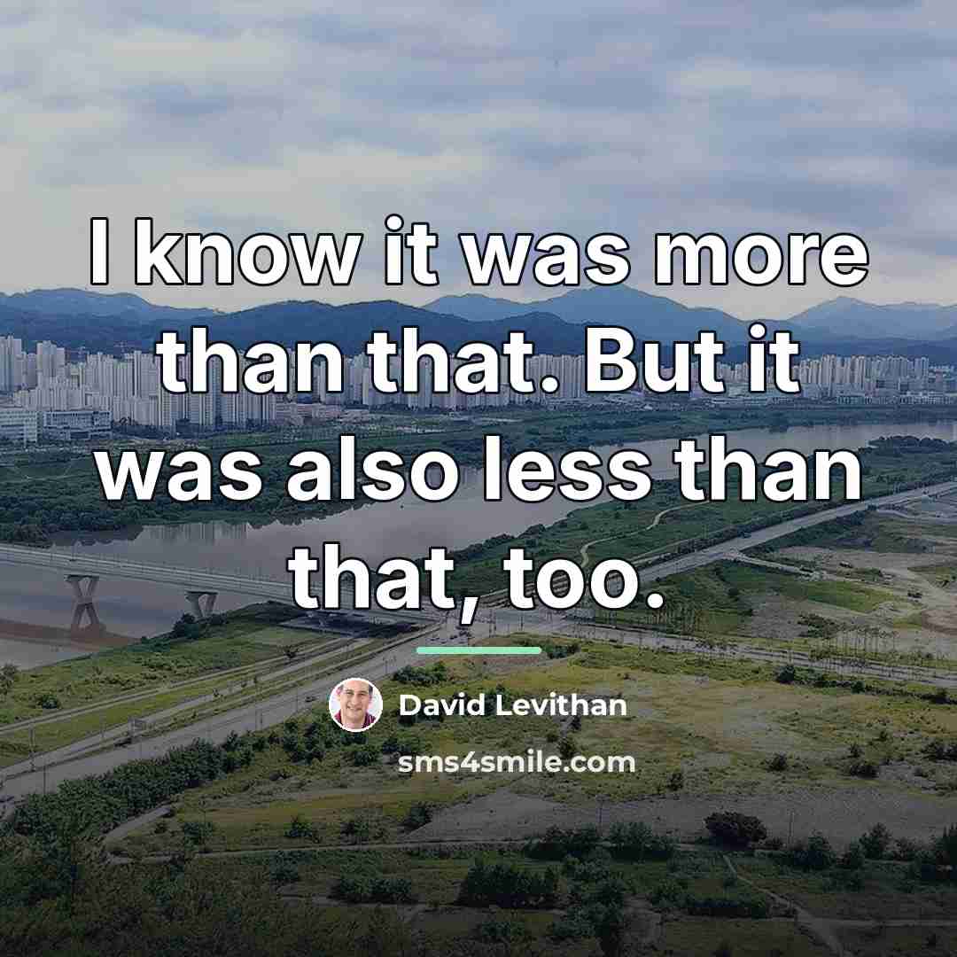 “I know it was more than that. But it was…” quote by David Levithan