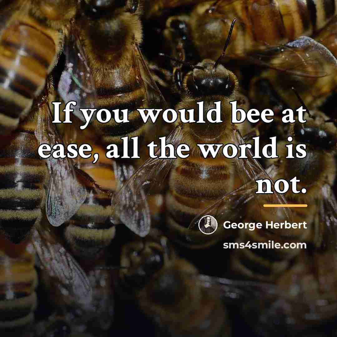 “If you would bee at ease, all the world is…” quote by George Herbert