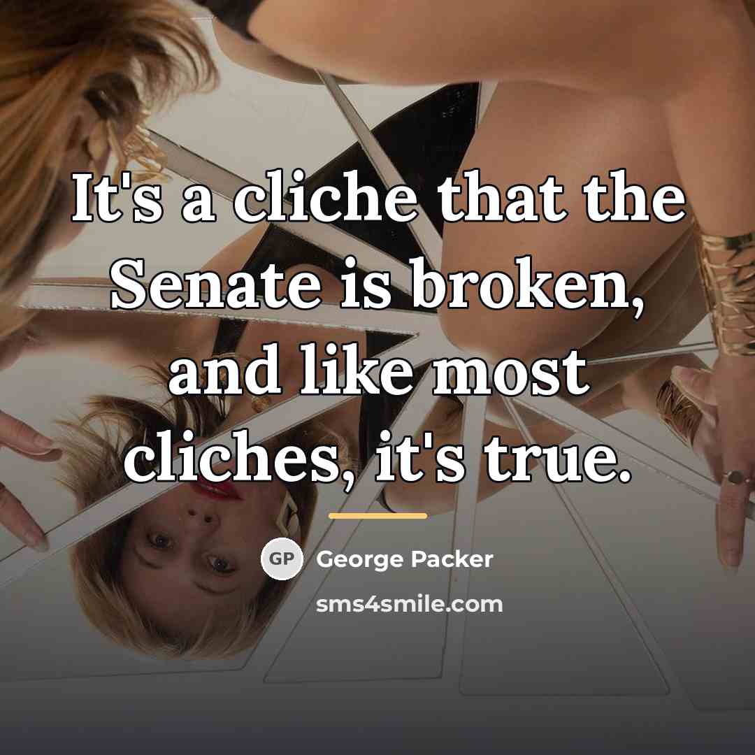 “It's a cliche that the Senate is broken, and like…” quote by George Packer