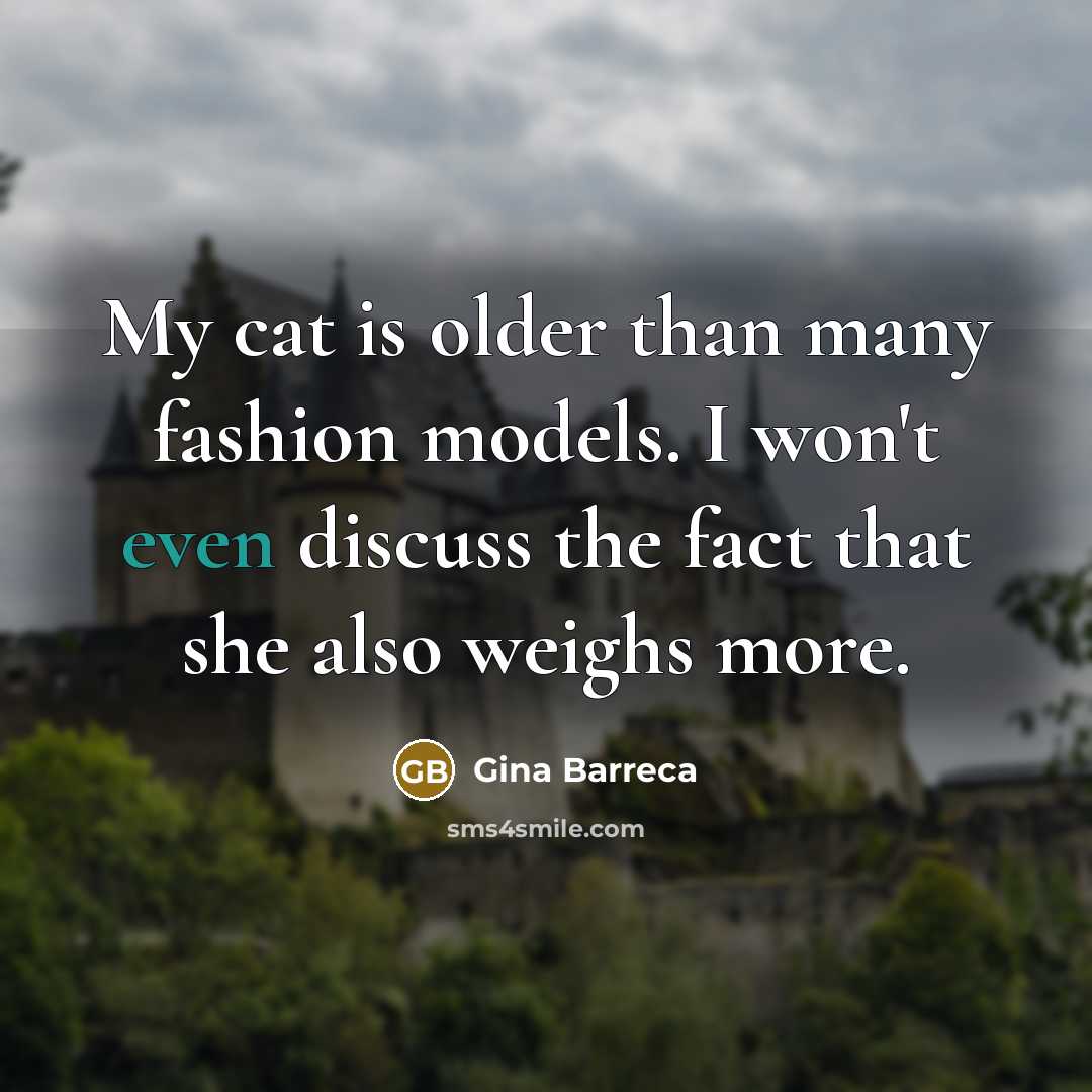 “My cat is older than many fashion models. I won't…” quote by Gina Barreca
