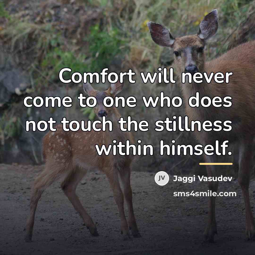 “Comfort will never come to one who does not touch…” quote by Jaggi Vasudev