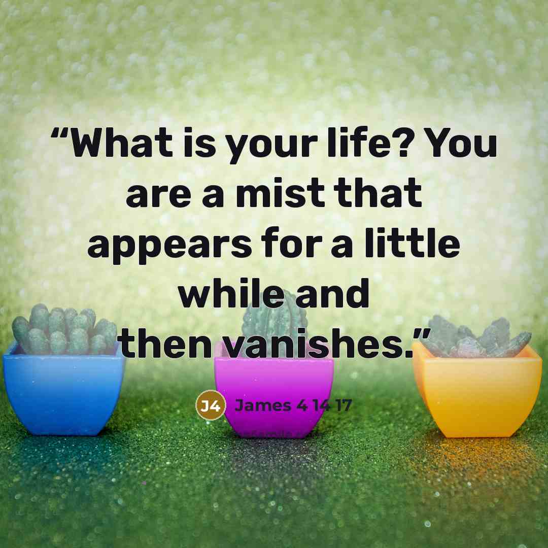 “What is your life? You are a mist that appears for a little while and then vanishes.” quote by James 4 14 17