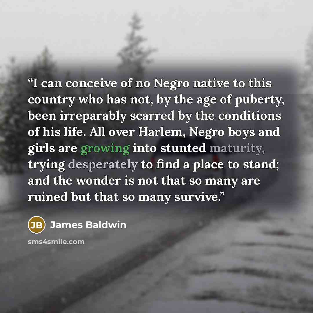 “I can conceive of no Negro native to this country who has not, by the age of puberty, been irreparably scarred by the conditions of his life. All over Harlem, Negro boys and girls are growing into stunted maturity, trying desperately to find a place to stand; and the wonder is not that so many are…” quote by James Baldwin