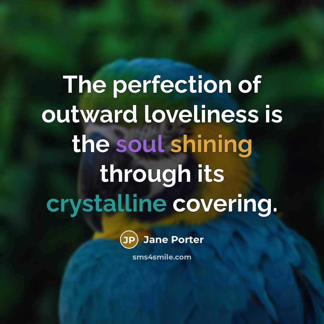 “The perfection of outward loveliness is the soul shining through its crystalline covering.” quote by Jane Porter