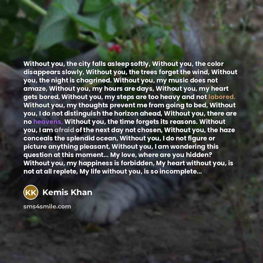 “Without you, the city falls asleep softly, Without you, the color disappears slowly, Without you, the trees forget the wind, Without you, the night is chagrined. Without you, my music does not amaze, Without you, my hours are days, Without you, my heart gets bored, Without you, my steps are too…” quote by Kemis Khan