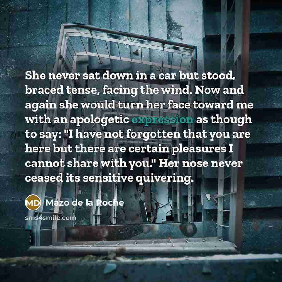 “She never sat down in a car but stood, braced…” quote by Mazo de la Roche