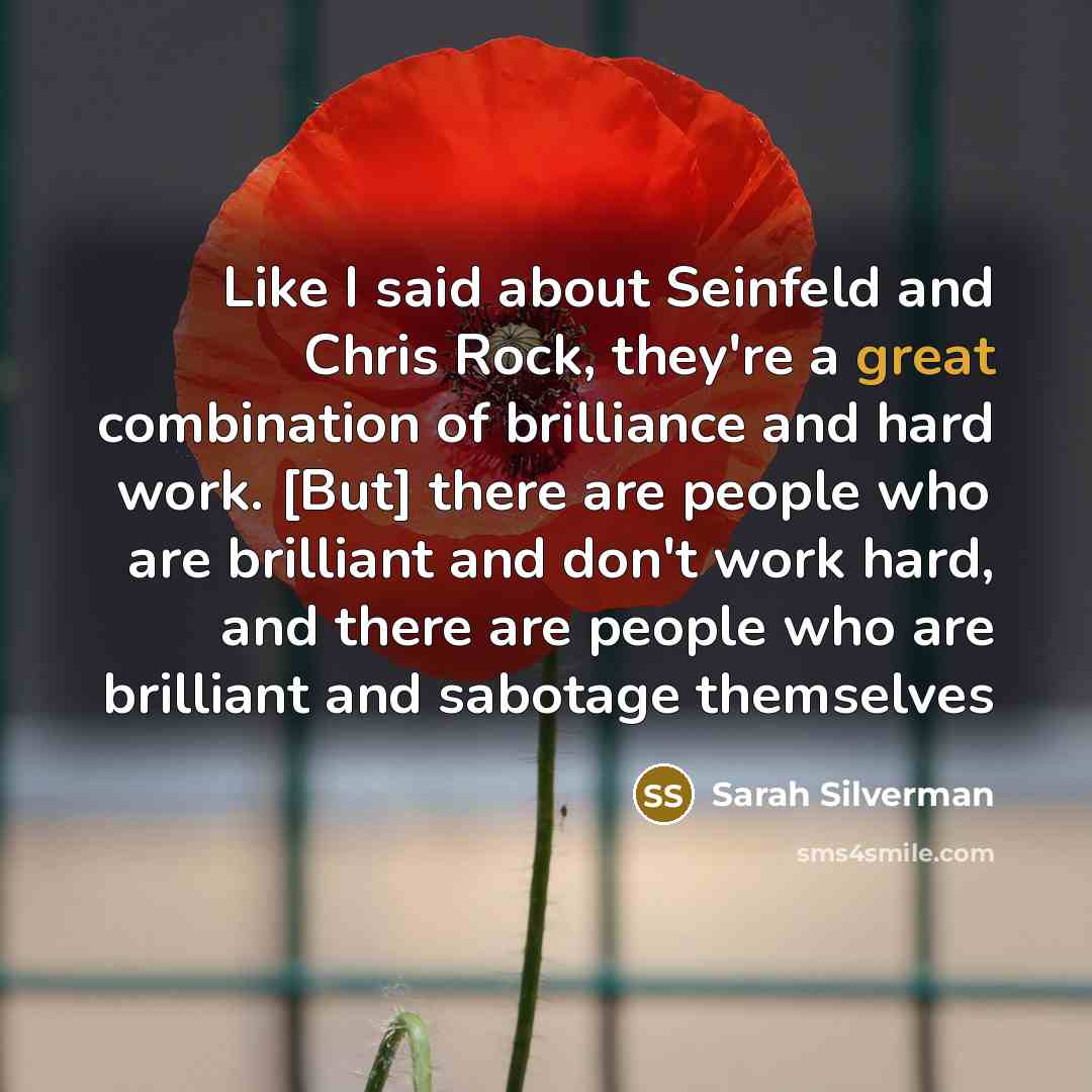 “Like I said about Seinfeld and Chris Rock, they're a…” quote by Sarah Silverman