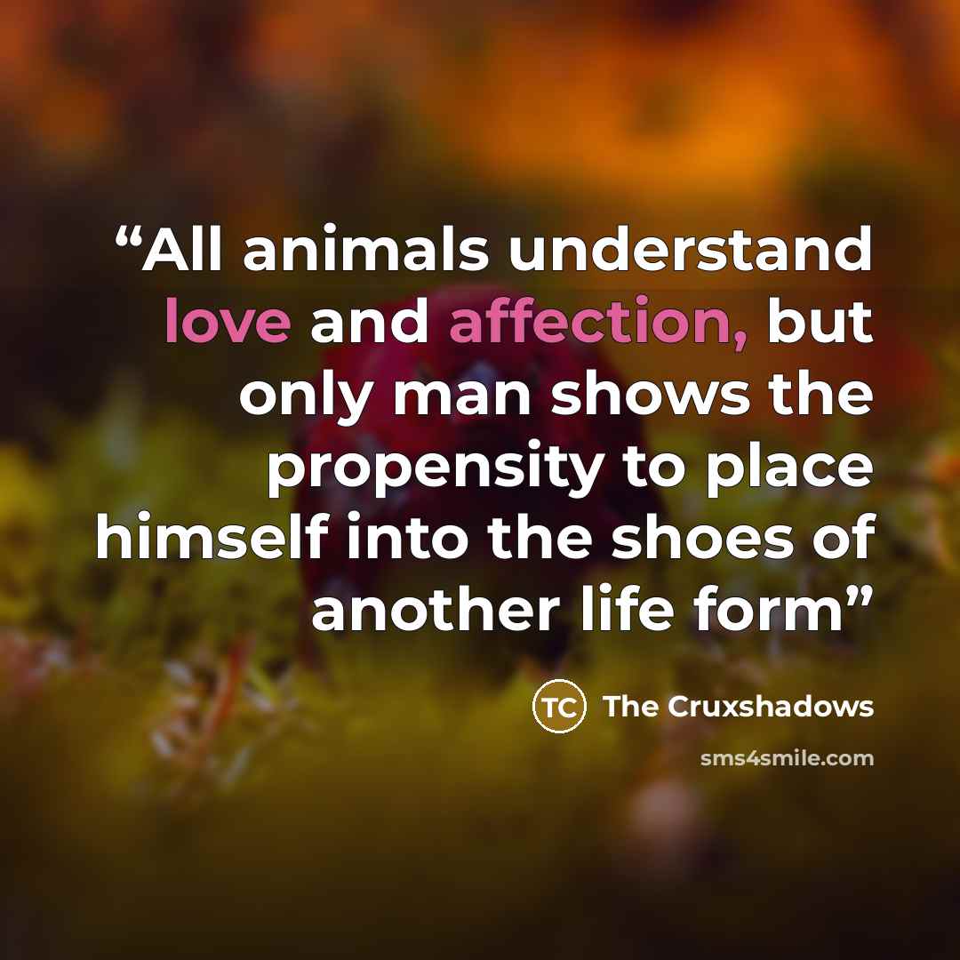 “All animals understand love and affection, but only man shows the propensity to place himself into the shoes of another life form” quote by The Cruxshadows