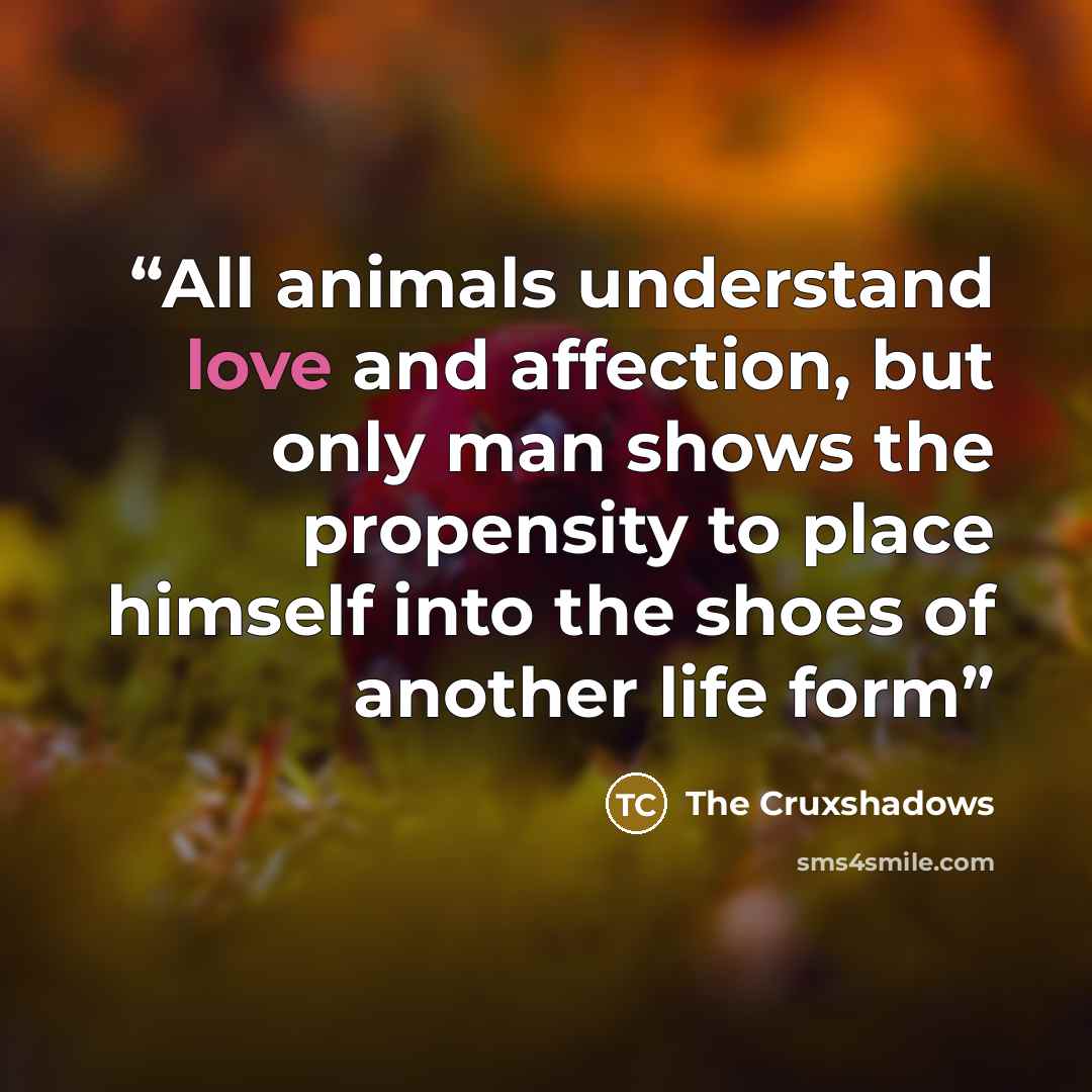 “All animals understand love and affection, but only man shows the propensity to place himself into the shoes of another life form” quote by The Cruxshadows