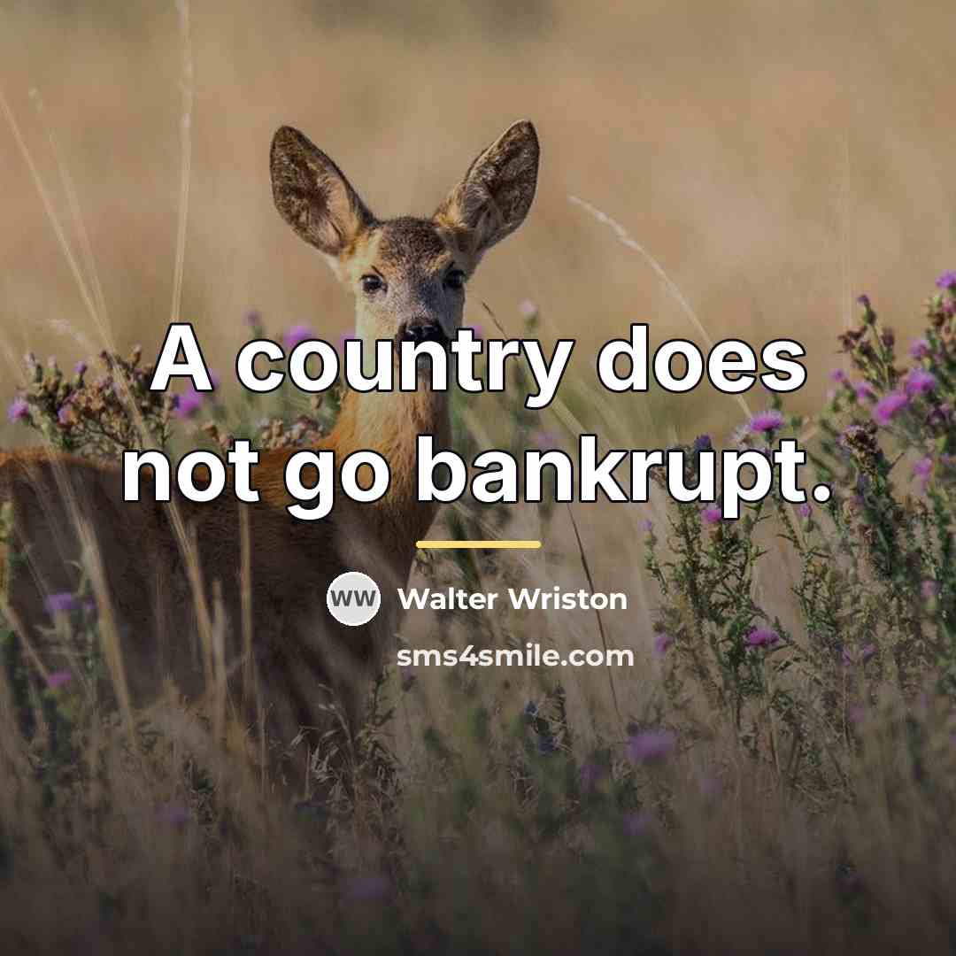 “A country does not go bankrupt.…” quote by Walter Wriston