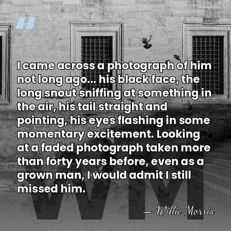 I came across a photograph of him not long ago... his black&hellip; - Willie Morris